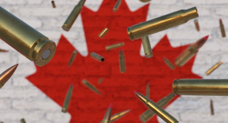 Open Letter: Civil society coalition urges Canada to stop all arms transfers to Israel
