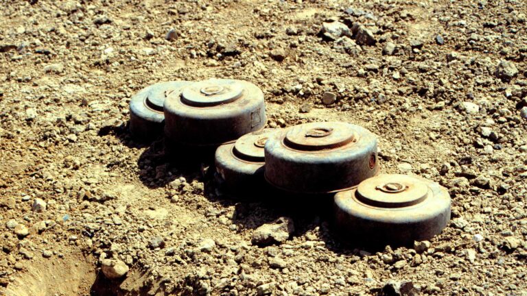 An affront to humanitarian norms: Statement on U.S. decision to supply landmines to Ukraine